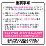 ショルダートートバッグ 2way パイソン柄 | インナーショップDiamondHearts  | 詳細画像2 