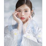 宵鼠の花しらべ | 浴衣 セット レディース | Dita