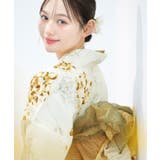 浮世の藤さがり(柑橘) | 浴衣 セット レディース | Dita