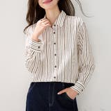 ストライプ | ストライプ柄ベーシック長袖シャツ レディース トップス | Doux Belle 