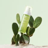 CACTOX サボテン ポアジェリーセラムミスト 80ml | Dr.Melaxin | 詳細画像3
