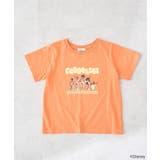 ヘラクレス/コンパクトTee | earth music&ecology | 詳細画像19