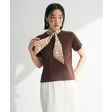 ブラウン | フライスコンパクトTシャツ | Green Parks