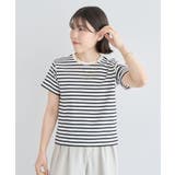 ボーダー | フライスコンパクトTシャツ | Green Parks