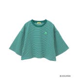 グリーン | ジョグマン/ボーダーワイドショートTシャツ | Green Parks
