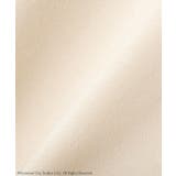 WICKED ダルシーベアptスウェット | Green Parks  | 詳細画像14 