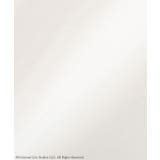 【限定】WICKED グラフィックロンTEE | Green Parks  | 詳細画像25 