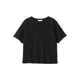 オトナコンパクトTシャツⅡ | Green Parks | 詳細画像34