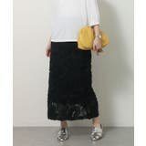 ブラック | 刺繍レーススカート | Green Parks