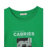 アソート柄フォトTシャツ | Green Parks  | 詳細画像18 