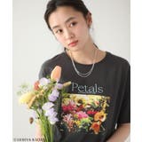 日比谷花壇コラボカラーTEE | Green Parks  | 詳細画像11 