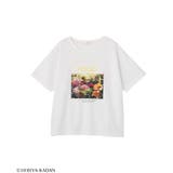 日比谷花壇コラボカラーTEE | Green Parks  | 詳細画像23 