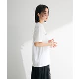 ■Regency works TABBY CAT | Green Parks | 詳細画像7