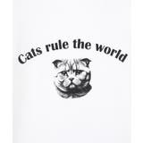 ■Regency works TABBY CAT | Green Parks | 詳細画像19