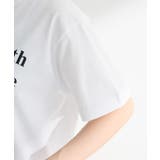 ■Regency works CALICO CAT | Green Parks | 詳細画像10