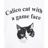 ■Regency works CALICO CAT | Green Parks | 詳細画像19