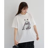 A | ・DOUBLE FLAGS アニマルプリントTEE | Green Parks