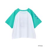 スティッチ/シアー半袖ラグランTシャツ | Green Parks | 詳細画像21