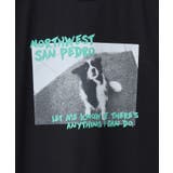 DogフォトプリントTシャツ | AMERICAN HOLIC | 詳細画像27