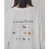 D | アソートアニマルロングTシャツ | AMERICAN HOLIC