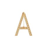 ビジューイニシャルブローチ | AMERICAN HOLIC | 詳細画像2 