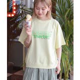 ライムグリーン | 【BLUE SEAL】カラーピグメントプルオーバー | AMERICAN HOLIC