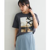 B | 接触冷感/フォトプリントTEE | CRAFT STANDARD BOUTIQUE