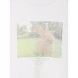 ■アニマルフォトTシャツ | earth music&ecology | 詳細画像33