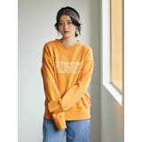イエロー | カレッジロゴ裏毛プルオーバー | AMERICAN HOLIC