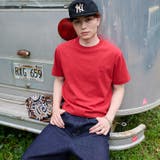 レッド | RHINESTONE CROPPED TEE | kutir