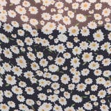 【kutir】配色花柄ブラウス | kutir | 詳細画像18 