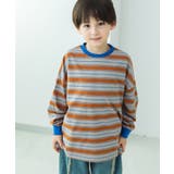 MUSTARDBORDER | 配色リブ マルチボーダー長袖Tシャツ | pairmanon
