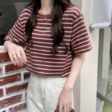 ブラウン | ボーダーＴシャツ【韓国ファッション】 | Girly Doll