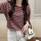 ボーダーＴシャツ【韓国ファッション】 | Girly Doll | 詳細画像14 