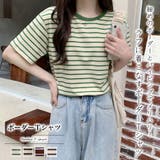 ボーダーＴシャツ【韓国ファッション】 | Girly Doll | 詳細画像1 