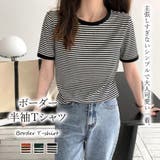 ボーダー半袖Tシャツ【韓国ファッション】 | Girly Doll | 詳細画像1