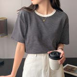 ボーダーカットTシャツ【韓国ファッション】 | Doula Doula | 詳細画像5