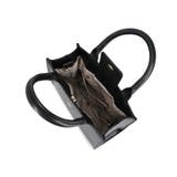 PAUL&JOE ACCESSOIRES ショルダーバッグ PJA-B1165 | ELGAES | 詳細画像18 