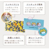 マスクケース 【2種セット】抗菌 持ち運び | exrevo | 詳細画像3 