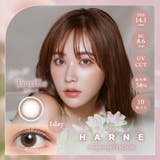 トリュフ(Truffle) | HARNE ハルネ てんちむ | Color-eye