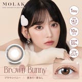 ブラウンバニー(Brown Bunny) | MOLAK 1D モラク | Color-eye