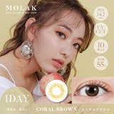 コーラルブラウン(Coral Brown) | MOLAK 1D モラク | Color-eye