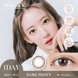 ダークピオニー(Dark Peony) | MOLAK 1D モラク | Color-eye