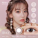 サクラペタル(Sakura Petal) | MOLAK 1D モラク | Color-eye