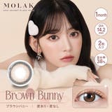 ブラウンバニー(Brown Bunny) | MOLAK 1M モラク | Color-eye