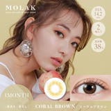 コーラルブラウン(Coral Brown) | MOLAK 1M モラク | Color-eye