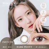 ダークピオニー(Dark Peony) | MOLAK 1M モラク | Color-eye