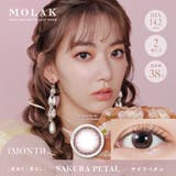 サクラペタル(Sakura Petal) | MOLAK 1M モラク | Color-eye
