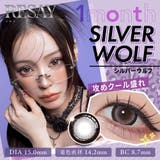 シルバーウルフ(SILVER WOLF) | RESAY リセイ せいせい | Color-eye