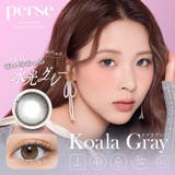 コアラグレー(Koala Gray) | perse パース よしミチ | Color-eye